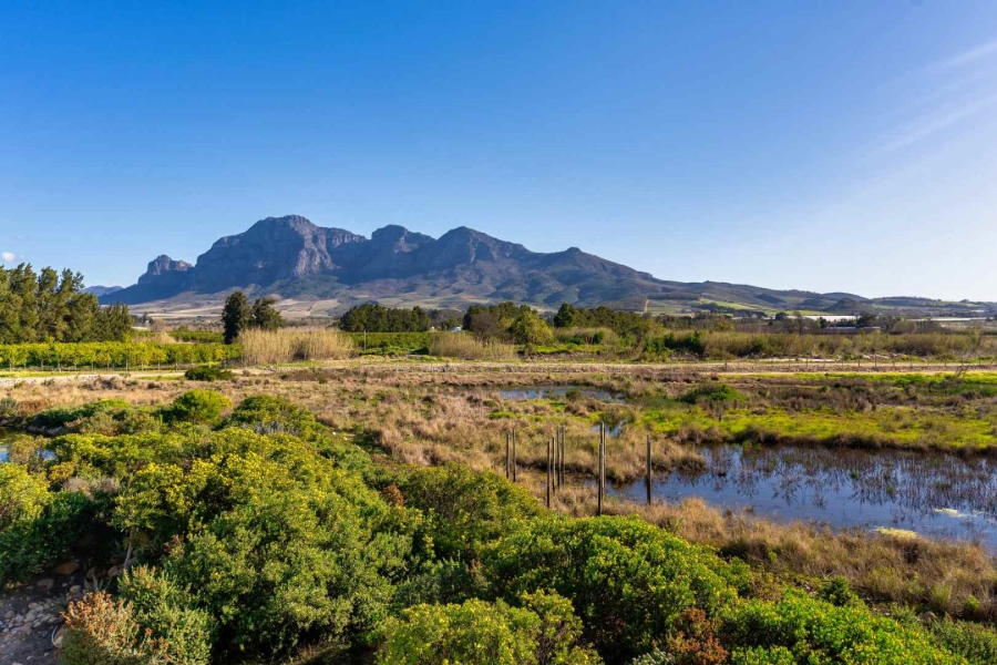 12 Bedroom Property for Sale in Val De Vie Estate Western Cape